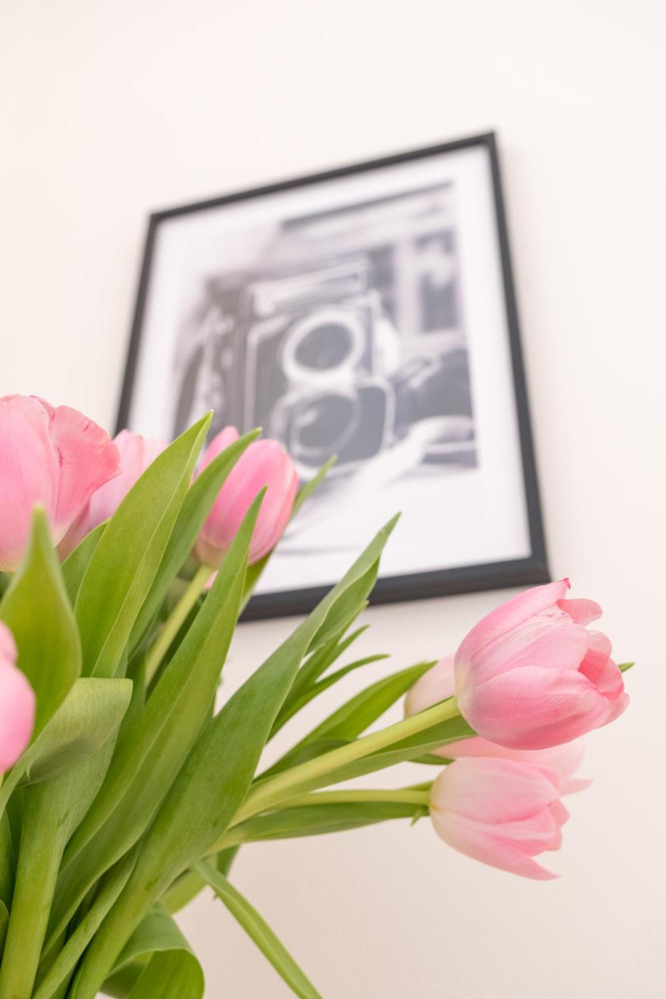 City Apartments Wien Ngoại thất bức ảnh